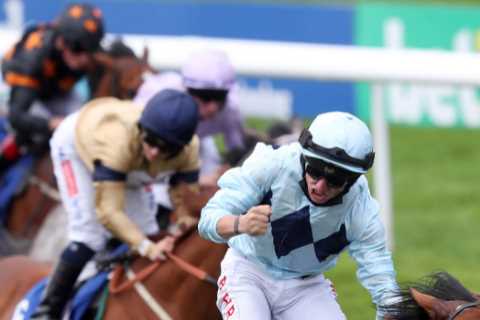 Big shake up in Champions Sprint betting at Ascot as favourite Starman retired to stud through..