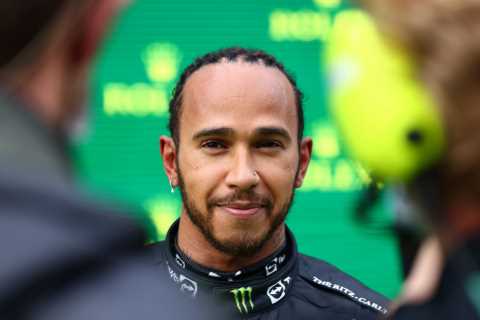 Lewis Hamilton’s intermediate tyres during Turkish GP looked ‘dangerous’ and he HAD to pit, says..