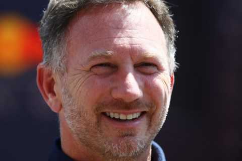 ‘Don’t worry, I’ll smash him’ – Red Bull F1 chief Christian Horner reveals what Tyson Fury messaged ..