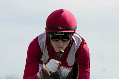Qipco Champion Stakes racecard: £11m wonderhorse Mishriff huge favourite for money-spinning Ascot..