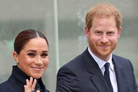Meghan Markle and Prince Harry slammed for new banking job as they ‘know ZERO about finance’, blast ..