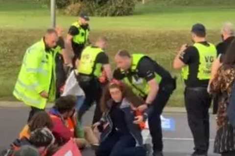 Motorist raging ‘this is stupidity!’ drives at Insulate Britain M25 protest as screaming woman..