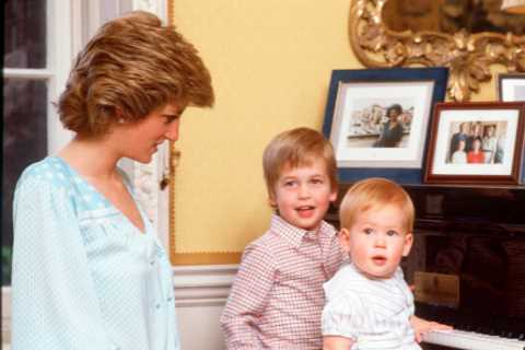 Prince William &amp; Harry’s nanny had bizarre rules which ‘banned them from having everyday items..