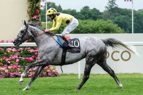 Racing tragedy as Ebor winner Fujaira Prince dies aged seven just days before big Ascot race