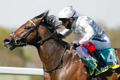 Get either Palace Pier or Baaeed to win the Queen Elizabeth II Stakes at 20/1 with William Hill..