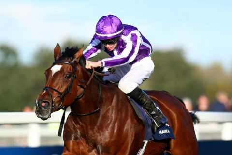Ascot Champion Stakes complete runner-by-runner guide and Templegate tip to Saturday showpiece