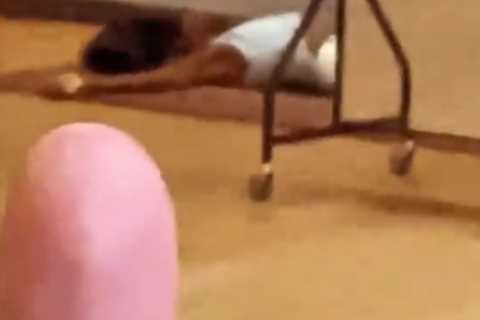 Strictly’s AJ Odudu collapses to the floor during gruelling samba rehearsal with Kai Widdrington