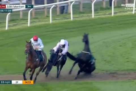 Watch horror moment loose horse causes carnage at Fakenham