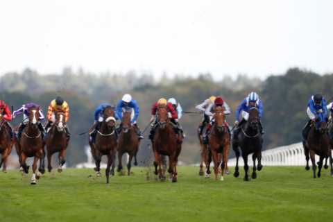 3.10 Ascot Queen Elizabeth II Stakes 2021 result: Who won Group 1 race and how every horse finished