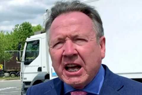 British lorry drivers slam Government for bringing in cheap foreign truckers to tackle shortages