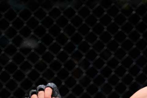 UFC star Paddy Pimblett KICKED OUT of Vicarage Road ‘for celebrating’ Liverpool thrashing and..