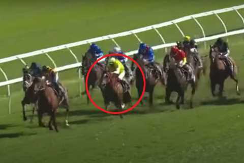 Champion jockey fined £10,800 and banned for breaking rules in world’s richest race on turf