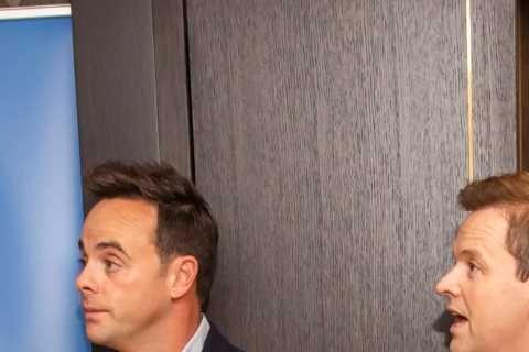 Ant McPartlin opens up about addiction struggle to Kate Middleton saying ‘by the time I asked for..