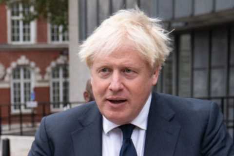 Boris Johnson vows ‘boiler police’ won’t kick down doors to rip out dirty gas boilers