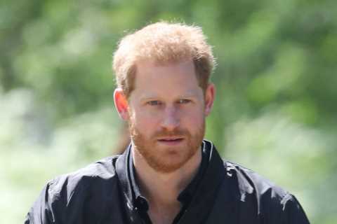 Meghan Markle’s dad slams ‘shameful’ Harry for ‘abandoning Queen, Army and British people’ to just..