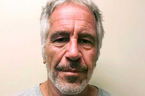 Epstein’s Zorro Ranch had computer rooms the ‘size of houses’ to spy on guests including Prince..