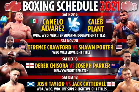 Upcoming boxing fights 2021: Fixture schedule – Dillian Whyte vs Otto Wallin CANCELLED, Canelo..
