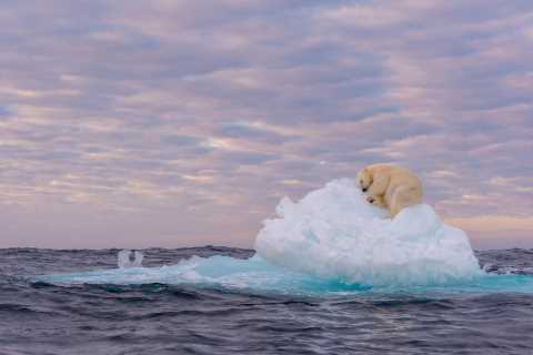 Climate change ‘number one concern for Brits’ for the first time, landmark research reveals