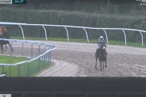 How has that won? Watch unbelievable finish where horse comes from MILES behind to win