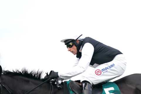 Third Time Lucki steals the show for the Skeltons as racing and crowds back in style at Cheltenham