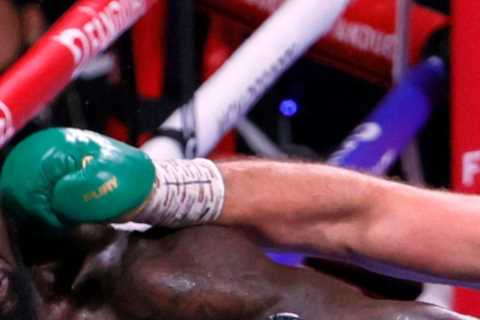 Tyson Fury vs Deontay Wilder drug test results CONFIRMED with both stars passing after sensational..