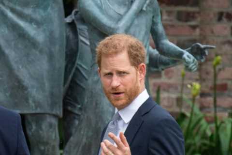 Prince William name-checks Harry in rare shine of unity in speech praising friends for Diana statue