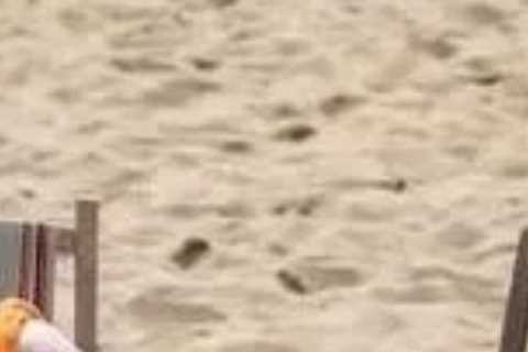The Larkins viewers call out ‘disrespectful’ blunder as Bradley Walsh heads to the beach