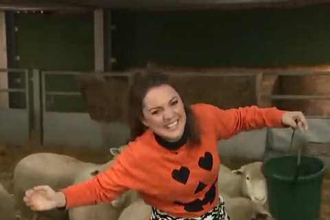 Good Morning Britain’s Laura Tobin screams as a SHEEP runs between her legs during live broadcast