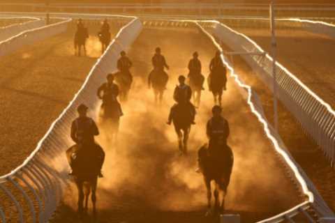 Melbourne Cup thrown into chaos just one week out as strict new system to prevent deaths breaks down