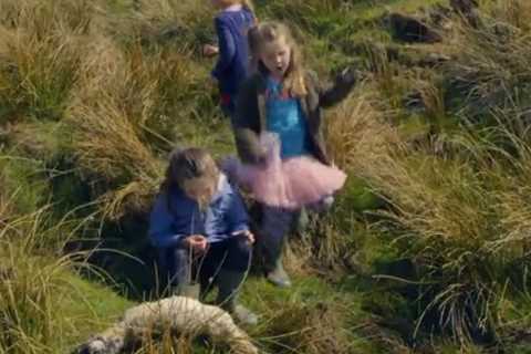 Our Yorkshire Farm fans left squirming as Amanda and Clive Owen teach youngest children to skin..