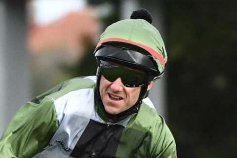 Bookies pay out £3.3million on horse winning Melbourne Cup BEFORE the race as one punter celebrates ..