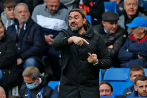 Norwich manager Daniel Farke NOT facing sack despite awful start to Premier League season and just..
