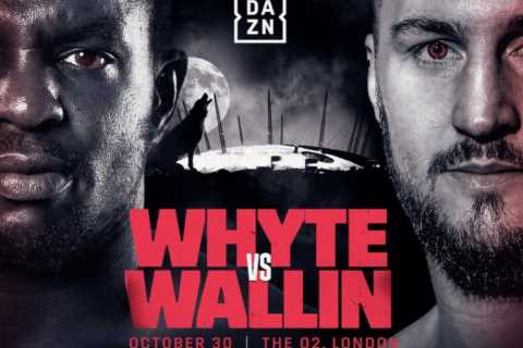 Tyson Fury’s next opponent could be confirmed next week with WBC set to make ruling over Dillian..