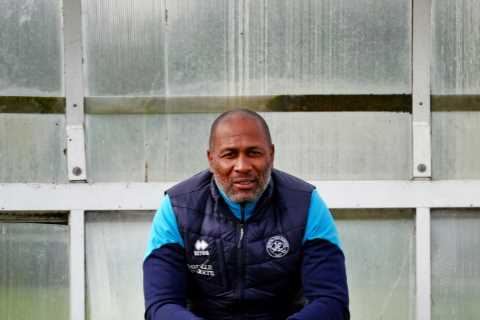 Newcastle legend Les Ferdinand warns owners not to sign superstars &amp; buy players who can get..