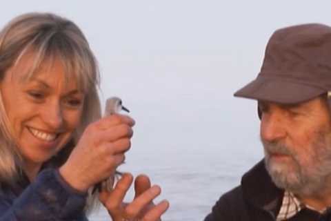 Autumnwatch fans all have the same complaint about Michaela Strachan as she attempts to catch a bird