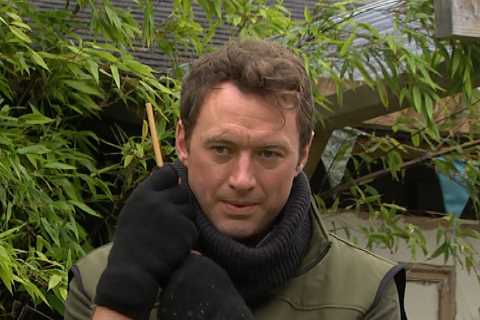 Emmerdale spoilers: Liam Cavanagh goes viral in soaps crossover plot