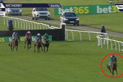 Dan Skelton slams ‘ridiculous’ attacks on brother Harry after jockey’s dramatic fall when 25..