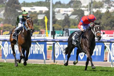 Bookies left red-faced after paying out £3.3million on the wrong horse in the Melbourne Cup