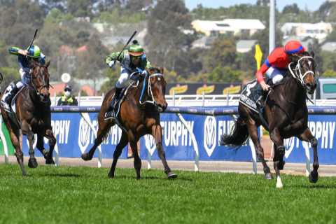Huge Melbourne Cup shock as Verry Elleegant BEATS hot favourite Incentivise at 16-1 despite bookies ..
