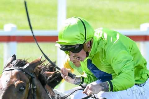 Two jockeys banned and one fined after Melbourne Cup as winner Verry Elleegant breaks 160-year curse