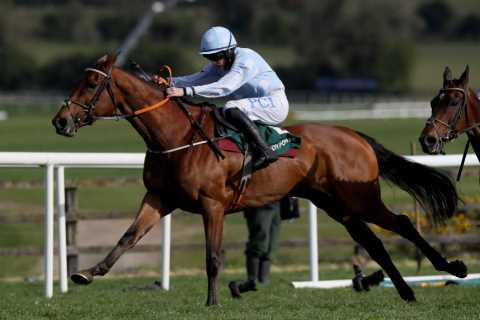 LATEST Cheltenham Festival 2022 Champion Hurdle ante post: Honeysuckle return confirmed in clash..
