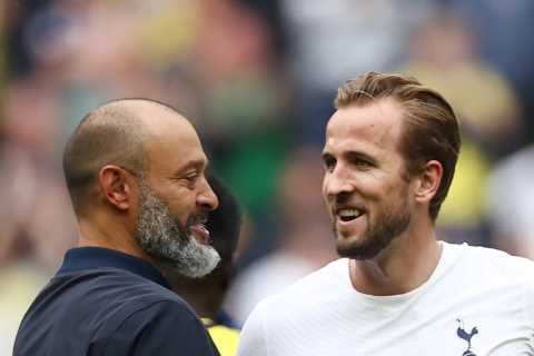 Man Utd hero Ferdinand ‘feels sorry’ for axed Spurs boss Nuno and says Kane transfer stand-off was..