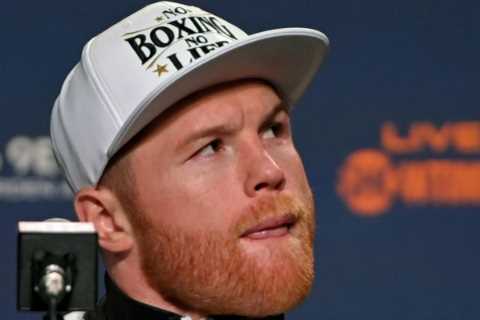 Canelo Alvarez rolls eyes at Kamaru Usman’s fight challenge and says UFC star just wants a ‘payday’