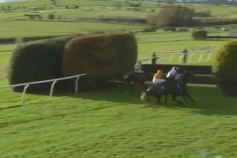 Watch horses and jockeys disappear into HEDGE during unbelievable final-fence scene at Hexham