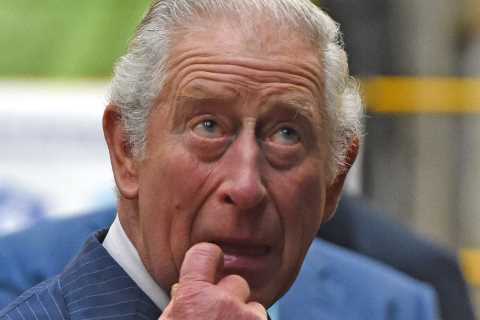 Prince Charles turns down chance to protest alongside Greta Thunberg