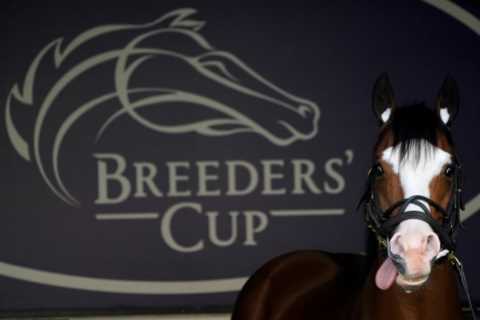 The Breeders’ Cup is the best show on earth and this is why – our man is Stateside and buzzing for..