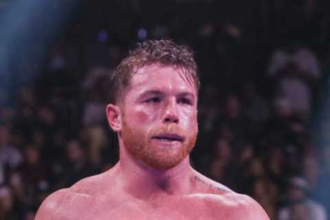 Canelo Alvarez interested in fighting Jermall Charlo or David Benavidez next and could make return..
