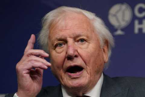 David Attenborough beats Greta Thunberg to be crowned the nation’s most inspirational ‘green’..