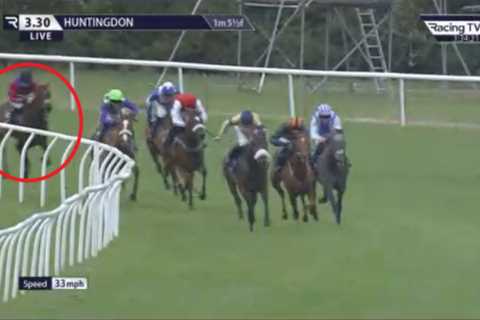 Punters win more than £500,000 backing no-hope horse whose odds hit 999-1 during race