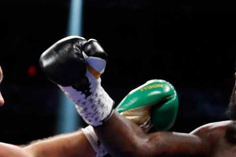 What is the difference between horsehair and foam-padded boxing gloves?